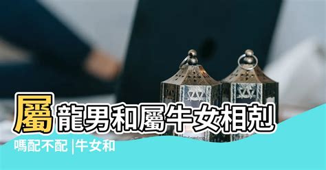 兔和龍合嗎|龍與兔十二生肖相配：愛情與關係